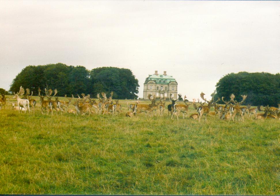 Schloss Eremitage im Tiergarten (Dyrehave) nrdlich Kopenhagen (29.08.2003 / WF)