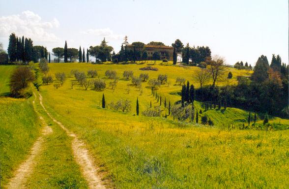 Wanderung von Colle di Val d'Elsa nach San Gimignano (08.04.2004 / WF)